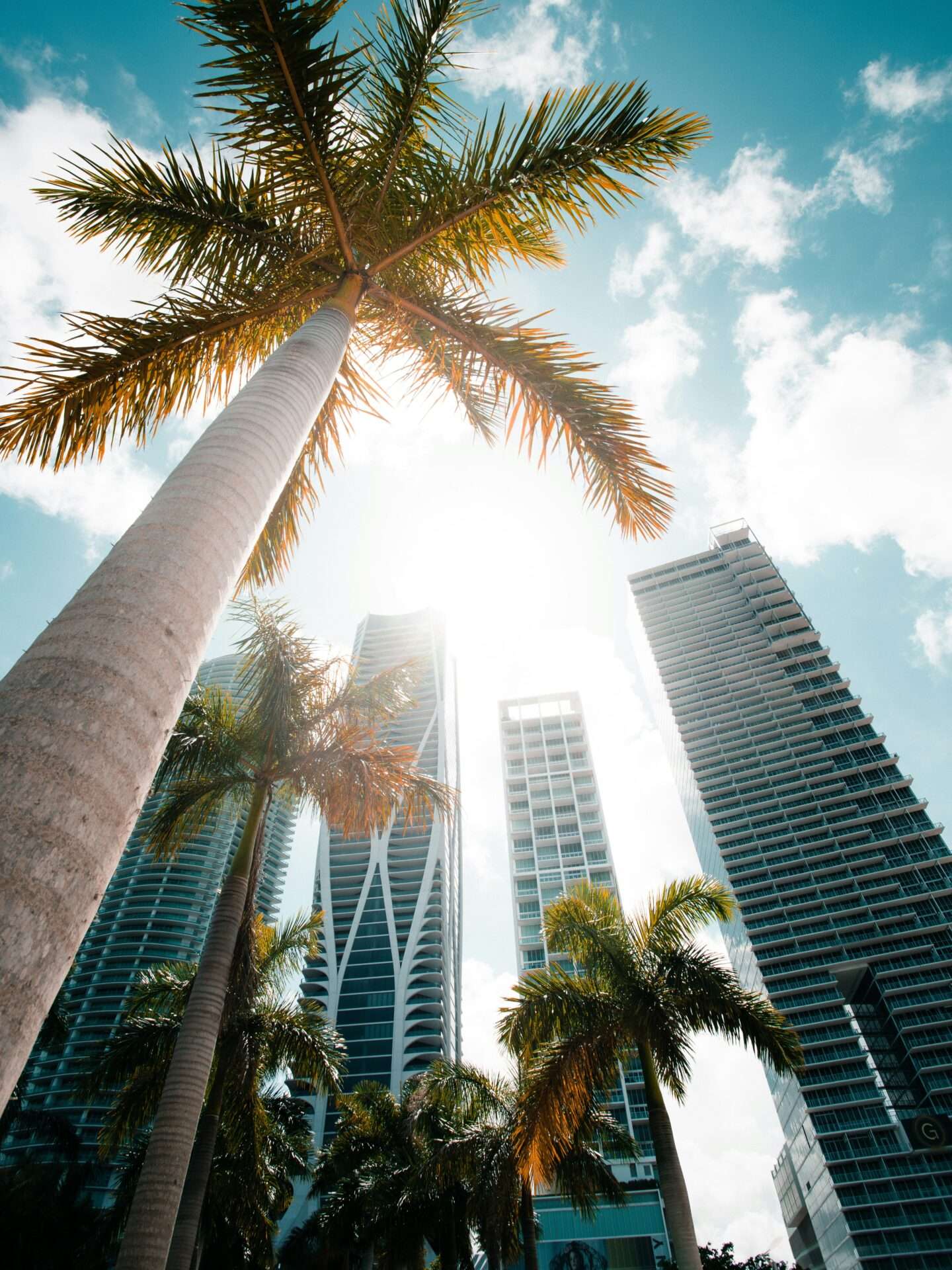 Miami brokerage tripled real estate sales with exclusive buyer leads